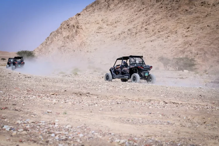 02219f72-e89c-489d-924b-88d813cfbec9