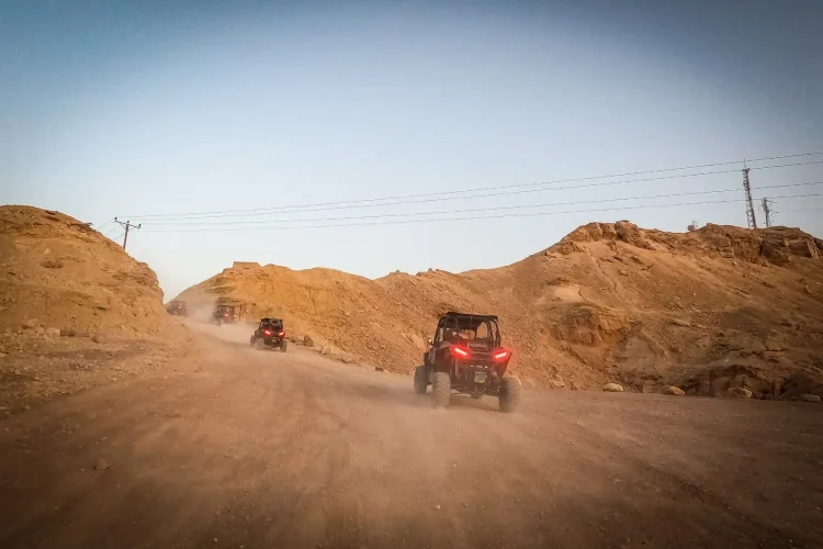 2e28eb63-d72a-4b9c-b068-7d56de7b51c9