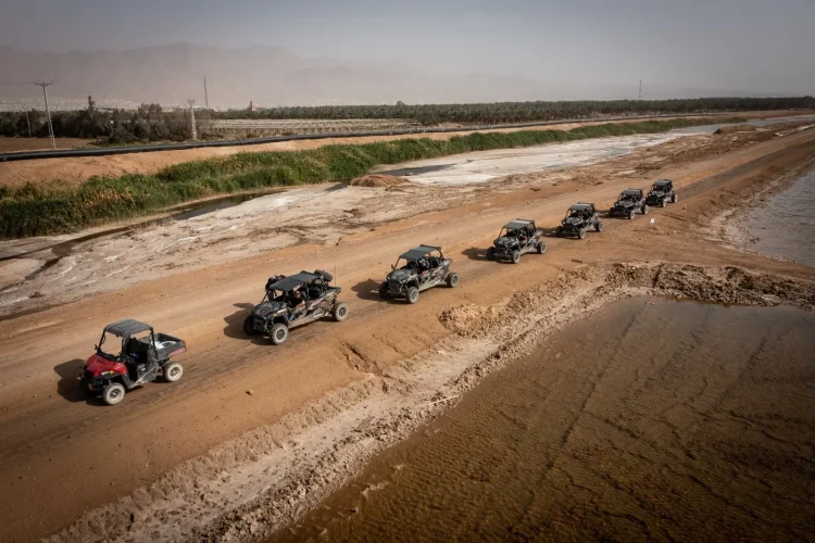 4d3f17e3-994e-4d6f-9268-41920aeaf460