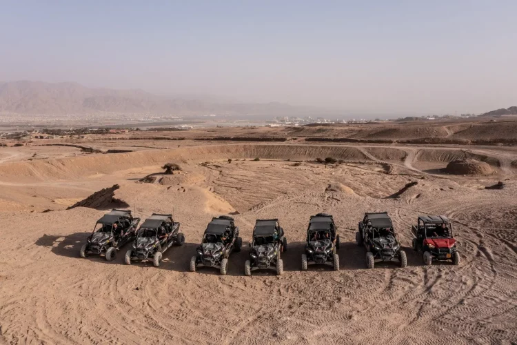 8e81dabd-f454-4e84-8775-10840b39f171