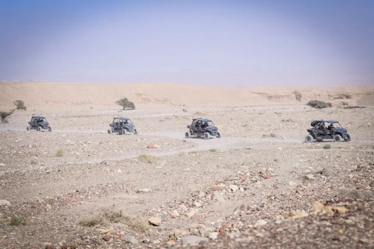 9746b15c-08b9-4e93-99e8-2569cdbfcad2