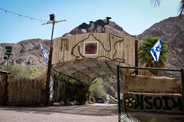 a3853bce-fd68-42b8-91ef-a855f737ef0d