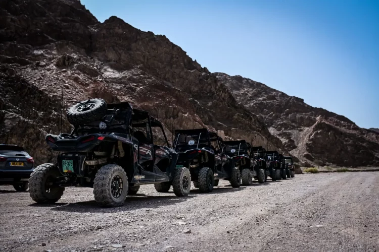 c97b5c1e-09d8-43f0-a6a7-4ed3b72e7528